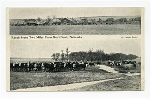 Image description is not available for PHO-264-706